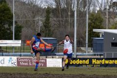 AFL-Game-Gisborne-10