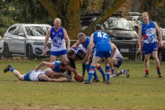 IMG_6144