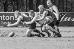 IMG_6293