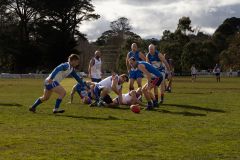 IMG_6352
