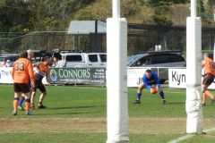 Copy-of-DSCN4570.2jpg