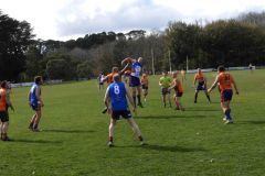 Copy-of-DSCN4590.2jpg