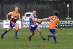 Copy-of-DSCN4704.2jpg