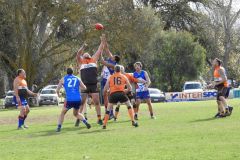 Copy-of-DSCN4810.2jpg