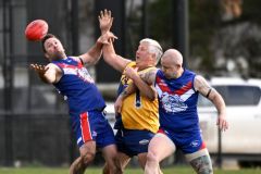 451100261_1004405084610264_2216566360373251305_n