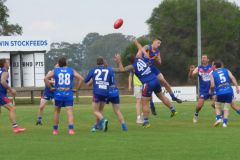 493279090_1099159815583601_4812983482169057928_n