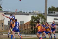 494919896_1106338328199083_5310820575833791915_n