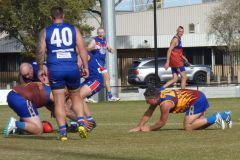 494993862_1106344348198481_8964937696655421542_n