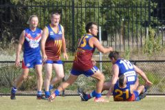 495373782_1106358284863754_7385327663275390119_n