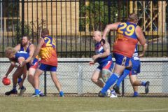 495450768_1106340038198912_9104304353055864609_n