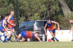 495489434_1106343004865282_4809862985439795018_n